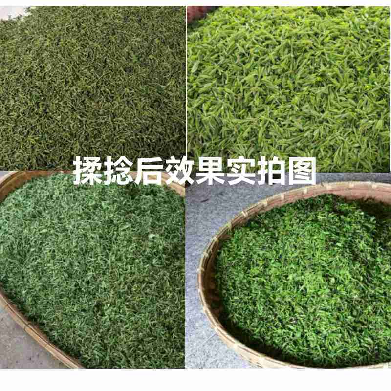 3月5日,十四届全国人大三次会议首场“代表通道”集中采访活动在北京人民大会堂举行。 新华社记者 郑焕松/摄